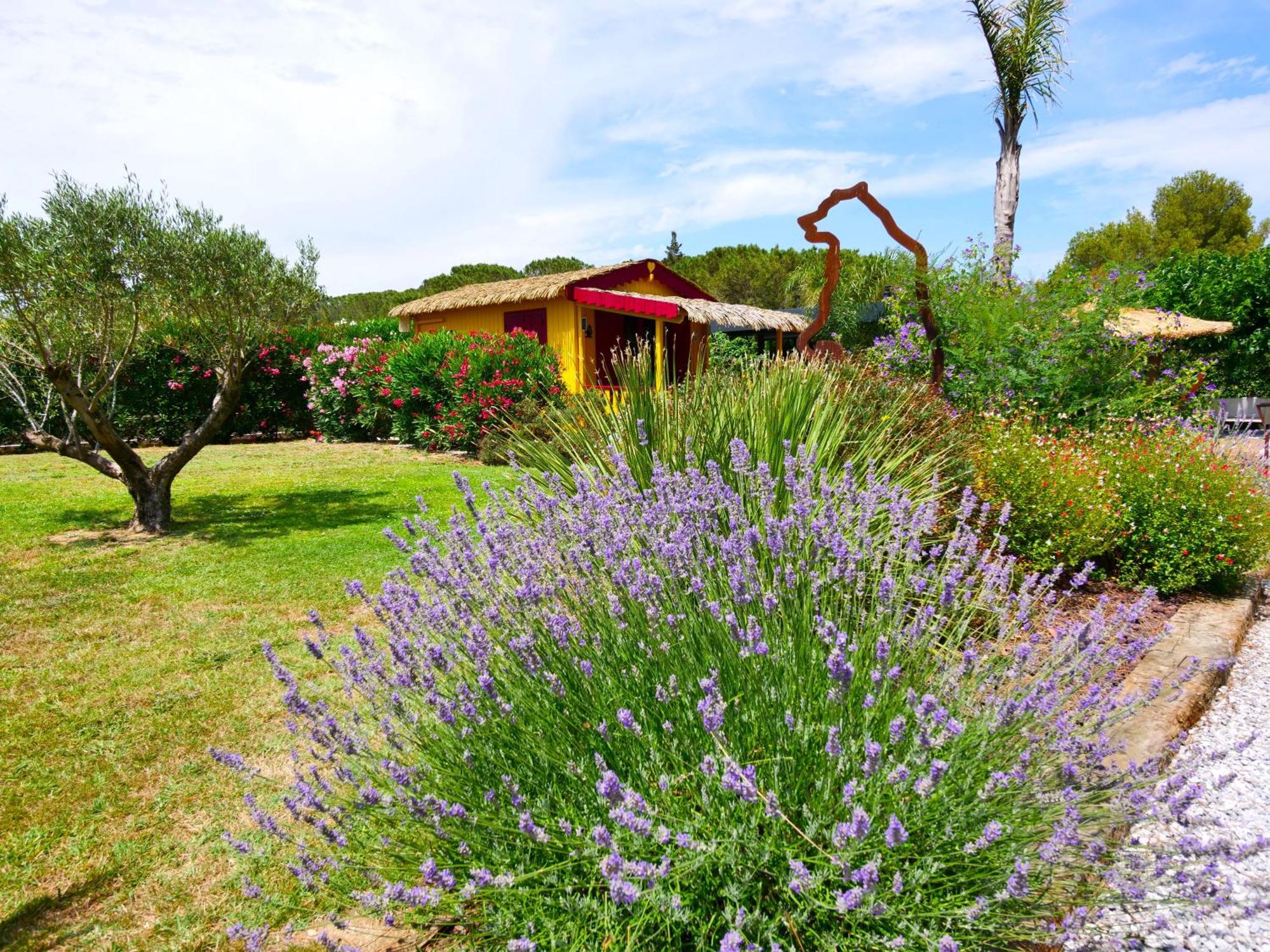 Chambre D'Hotes & Spa Mas Dels Esquirols Saint-André Dış mekan fotoğraf